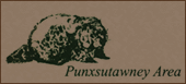 punxsutawney area